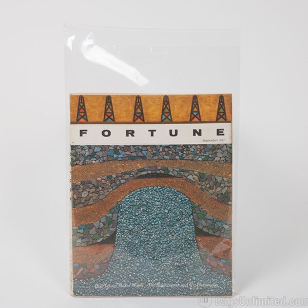 Mini Poster Poly Bags